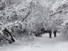 zapada-februarie-romania-52