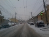 zapada-trafic-paralizat-timisoara-3-februarie-2012-17
