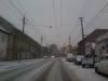 zapada-trafic-paralizat-timisoara-3-februarie-2012-18