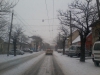 zapada-trafic-paralizat-timisoara-3-februarie-2012-22