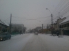 zapada-trafic-paralizat-timisoara-3-februarie-2012-5