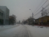 zapada-trafic-paralizat-timisoara-3-februarie-2012-6