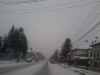 zapada-trafic-paralizat-timisoara-3-februarie-2012-8