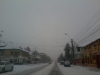 zapada-trafic-paralizat-timisoara-3-februarie-2012-9