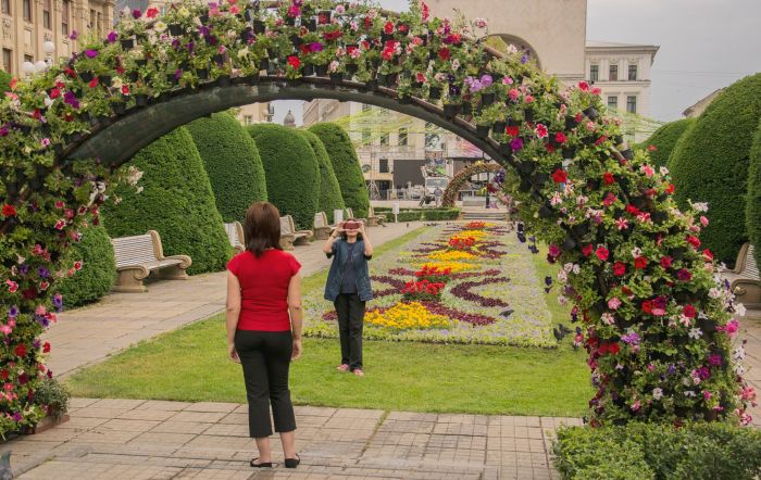 arcada flori centru timisoara