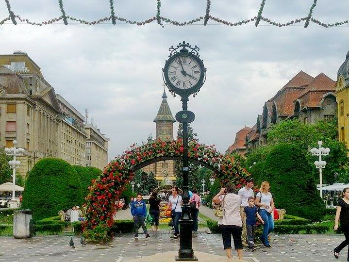 flori arcada timfloralis