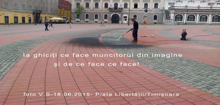 muncitor spalare pavaj libertatii