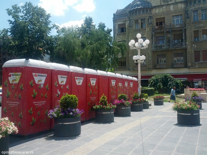 toalete ecologice centru timisoara piata operei wc (3)