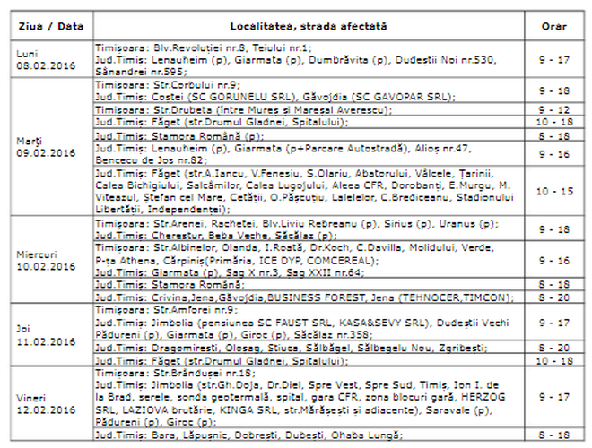 enel 8 februarie