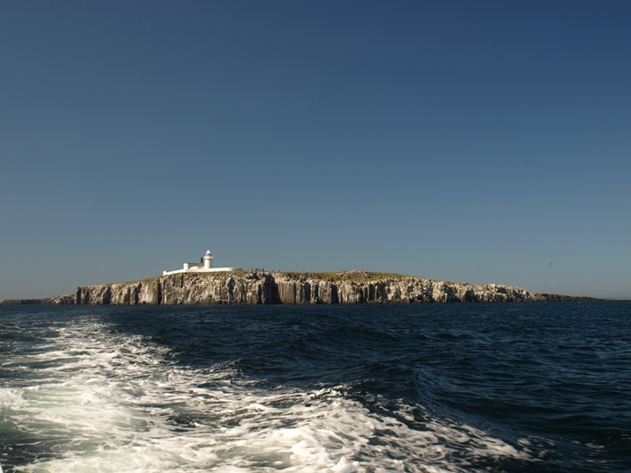 Farne2