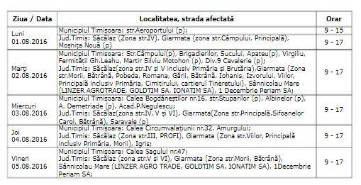 enel 1 august