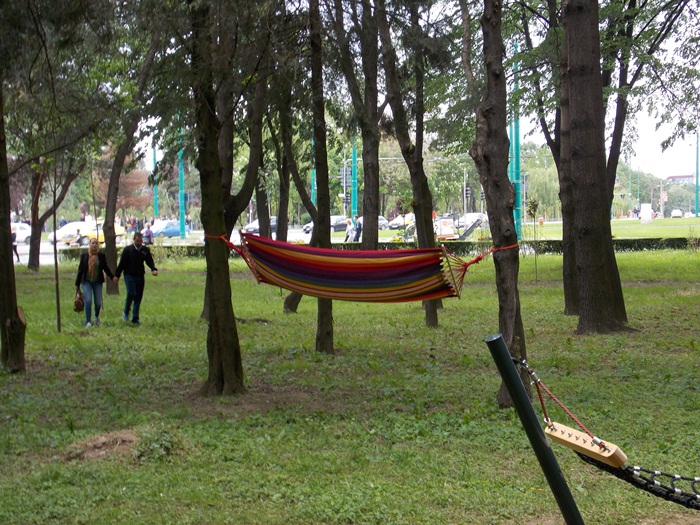 mild leave practice Distractie mare, la hamac, in Complexul Studentesc din Timisoara! O noua  aparitie surpriza in parcul tinerilor! FOTO! – Opinia Timisoarei