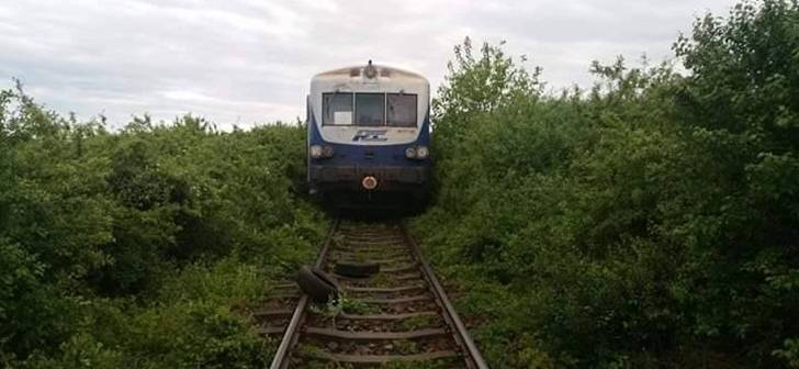 Accident tragic la marginea Timisoarei: Femeie ucisa de tren. Accident tragic la marginea Timisoarei: Femeie ucisa de tren.