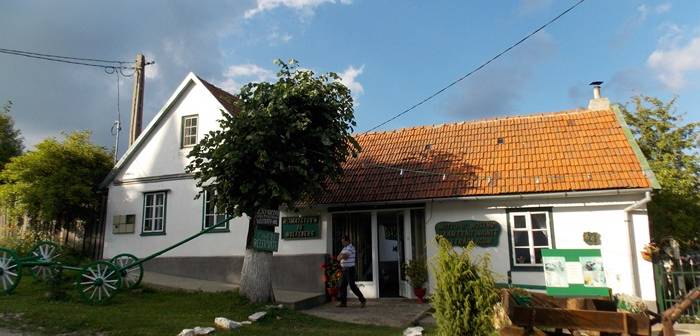 https://www.opiniatimisoarei.ro/wp-content/uploads/2016/09/muzeu-garana-38-700x336.jpg