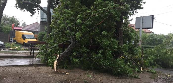 Copaci cazuti, acoperisuri desprinse si cabluri elecrice rupte, dupa ...
