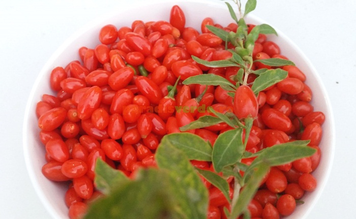 Berry goji pentru pierderea in greutate in atac etapa Dieta Dukan