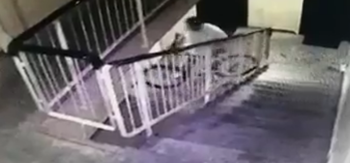 Unul dintre cei mai îndrăzneți hoți de biciclete și trotinete din Timișoara, prins de polițiști.