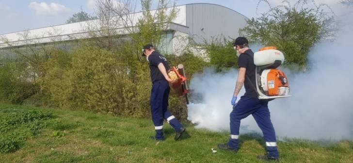 Timișoara lansează prima campanie împotriva țânțarilor și șobolanilor după majorarea prețurilor.