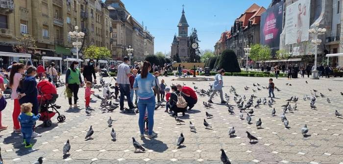 handkerchief Rooster Missionary Politistii locali incearca cu vorba buna sa-i opreasca pe oameni sa mai dea de mancare porumbeilor la Timisoara – Opinia Timisoarei handkerchief Rooster Missionary Politistii locali incearca cu vorba buna sa-i opreasca pe oameni sa mai dea de mancare porumbeilor la Timisoara – Opinia Timisoarei