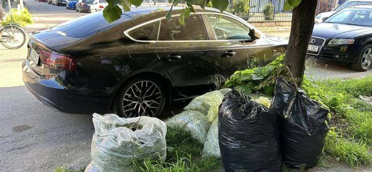ADID Timiș: Primăria Timișoara ne învinuiește pentru problemele nerezolvate ale orașului.