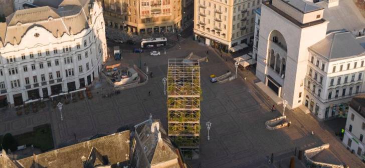 Schela cu plante din centrul Timișoarei este demontată. Schela cu plante din centrul Timișoarei este demontată.