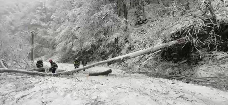 Trafic blocat de copaci cazuti pe Muntele Mic din cauza ninsorii. Probleme si cu curentul electric. Clip video