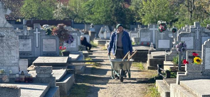 Gardenerii din Horticultura Timișoara sunt 5 membri useriști. Roxana Iliescu: Despre incompetența și politizarea conducerii, în ciuda promisiunilor. Gardenerii din Horticultura Timișoara sunt 5 membri useriști. Roxana Iliescu: Despre incompetența și politizarea conducerii, în ciuda promisiunilor.