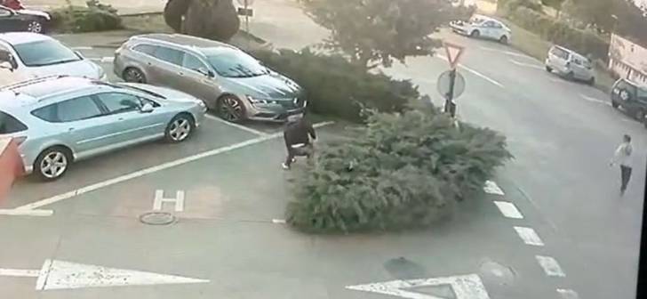 Inregistrare video surprinde talharie la bancomat din Timisoara. Momentul atacului filmat.