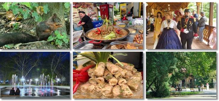 Delicii culinare, muzica variata și vinuri alese la festivalul din apropierea Timișoarei Delicii culinare, muzica variata și vinuri alese la festivalul din apropierea Timișoarei