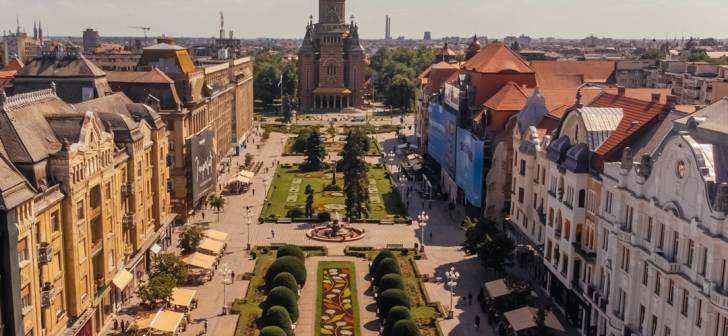 Covorul cu bujori din Piata Victoriei din Timisoara, in imagini Covorul cu bujori din Piata Victoriei din Timisoara, in imagini