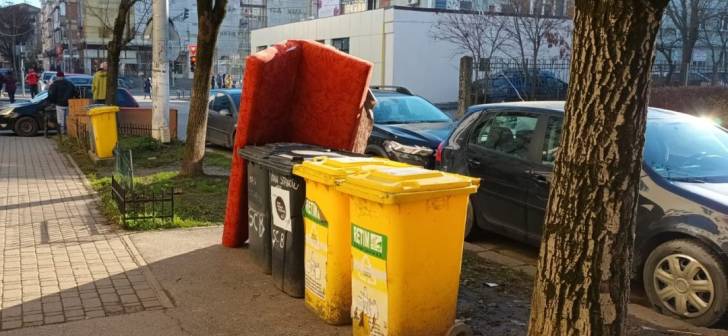 Ce tipuri de deșeuri trebuie aruncate în fiecare recipient? ADID Timiș reunește regulile colectării!