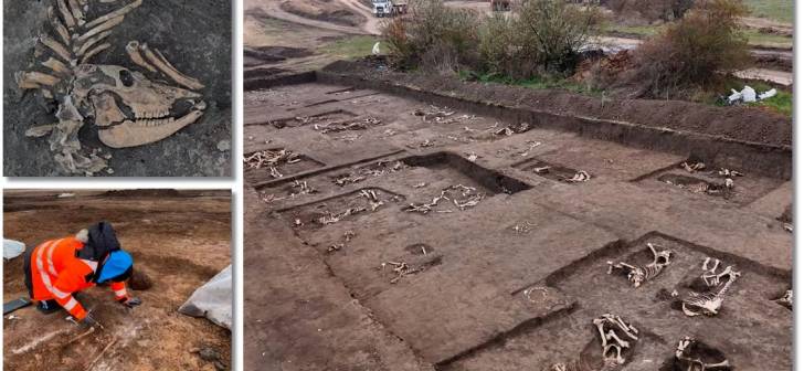 Descoperiri fascinante lângă Timișoara: un cimitir sarmatic, un mormânt imens de animale și case de 3.500 de ani Descoperiri fascinante lângă Timișoara: un cimitir sarmatic, un mormânt imens de animale și case de 3.500 de ani