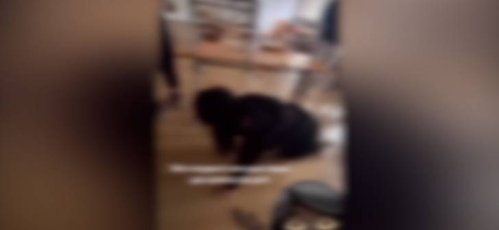 Incidentul adolescentei de la Liceul Lenau din Timișoara care a șocat comunitatea locală