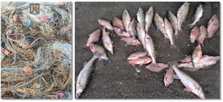 Braconierii surprinși de polițiști chiar pe lac. Braconierii surprinși de polițiști chiar pe lac.