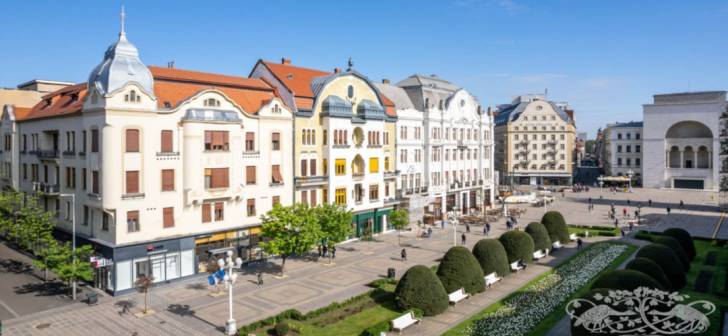 Toate casele vechi din Timișoara renovate de proprietari, fără sprijin financiar. Program inedit!