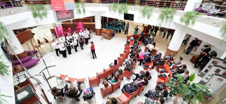 Eveniment festiv de Dragobete la Biblioteca Universitatii Politehnica Timisoara