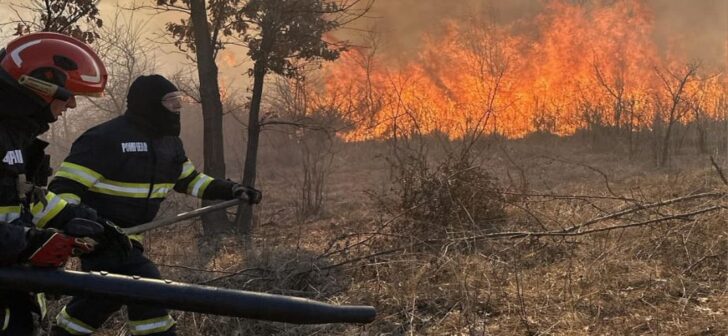 Pompier accidentat în incendiile din Banat de un copac căzut: intervenții dramatice la fața locului Pompier accidentat în incendiile din Banat de un copac căzut: intervenții dramatice la fața locului
