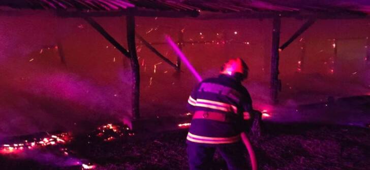 Incendiu devastator: animale ucise într-un prăpăd de flăcări. Incendiu devastator: animale ucise într-un prăpăd de flăcări.