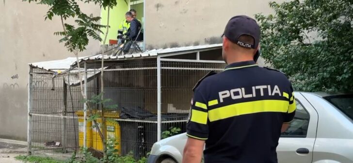 Au supraviețuit miraculos după ce au căzut de la etajul 7 al unui bloc din Timișoara. Au supraviețuit miraculos după ce au căzut de la etajul 7 al unui bloc din Timișoara.