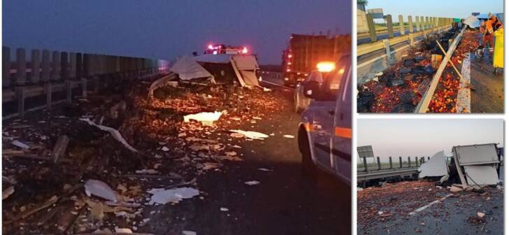 Accident pe Autostrada Vestului, lângă Timișoara: fructe împrăștiate pe carosabil. FOTO Accident pe Autostrada Vestului, lângă Timișoara: fructe împrăștiate pe carosabil. FOTO