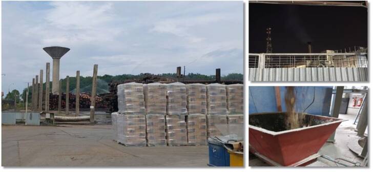 Oamenii se plâng de mirosul neplăcut: Garda de Mediu Timiș revine la firma din C...