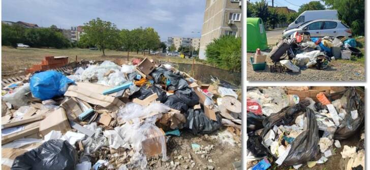 Poliția aplică amenzi de până la 10.000 de euro pentru cei care aruncă gunoaie.