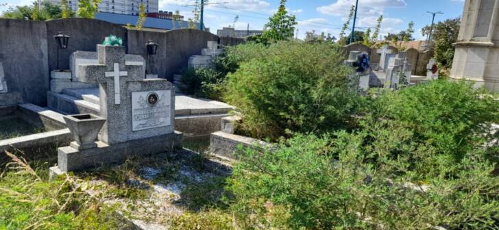 Primăria Timișoara propune cimitire ecologice prin creșterea tarifelor și restricții noi.