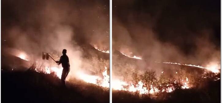 Incendiu devastator în Timiș: flăcările au ajuns până la cimitir. VIDEO