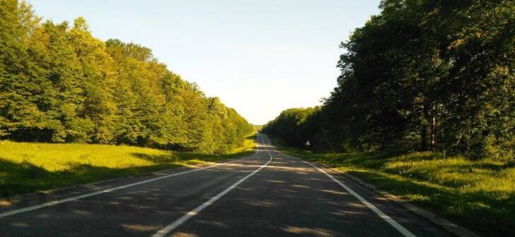 Perdele de arbori pe drumul național din județul Timiș: o nouă inițiativă ecologică. Perdele de arbori pe drumul național din județul Timiș: o nouă inițiativă ecologică.