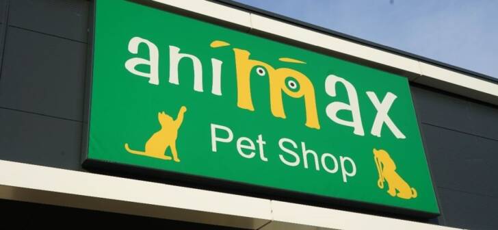 Îți iubești pisica sau câinele? Vezi oferta specială de la noul magazin Animax din Timișoara!