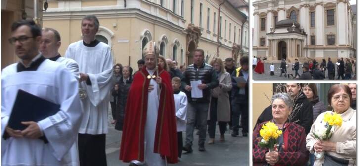 Floriile, sărbătoare importantă pentru catolici, celebrată cu bucurie la Timișoara Floriile, sărbătoare importantă pentru catolici, celebrată cu bucurie la Timișoara