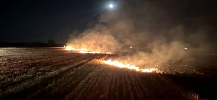 Nu mai dați foc vegetației uscate! Pompierii s-au luptat cu flăcările pe 25 de hectare în Timiș